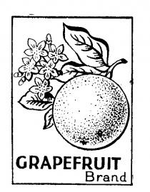 GRAPEFRUIT Brand