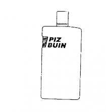 PIZ BUIN