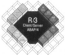 R/3 Client/Server ABAP/4