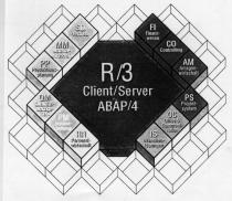 R/3 Client/Server ABAP/4