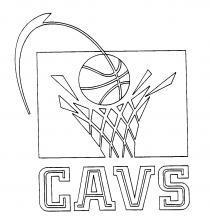 CAVS