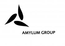 AMYLUM GROUP