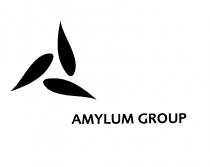 AMYLUM GROUP