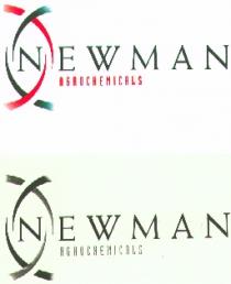 NEWMAN