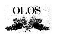 OLOS