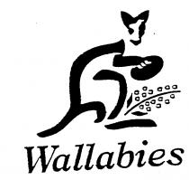 Wallabies