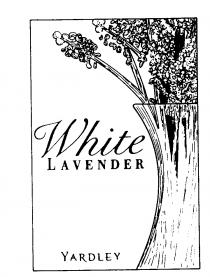 White LAVENDER YARDLEY