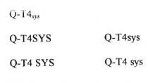 Q-T4sys