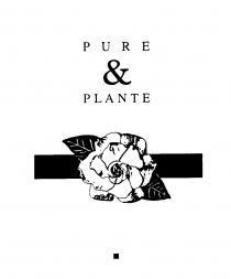 PURE & PLANTE