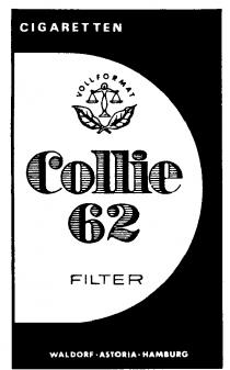 Collie 62