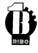 B RIBO