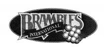 BRAMBLES INTERNATIONAL