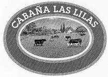 CABANA LAS LILAS