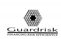 Guardrisk FINANCING RISK EFFICIENTLY