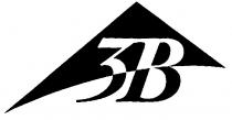 3B