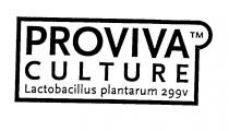 PROVIVA CULTURE Lactobacillus plantarum 299v