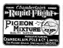 Chamberlain's Rapid Flight Pigeon Mixture