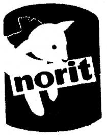 norit