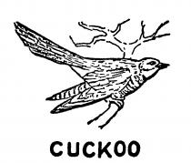 Cuckoo