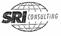 SRI CONSULTING