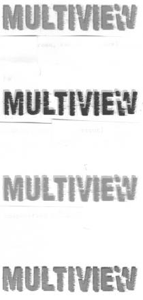 MULTIVIEW