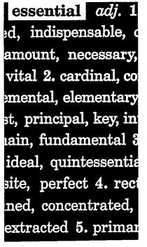 essential adj. 1 indispensable, amount, necessary, vital 2. cardinal, elementaryprincipal, key, fundamental 3 ideal, site, perfect 4. concentrated, extracted 5.