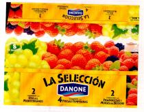 LA SELECCIÓN DANONE
