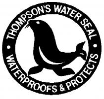 THOMPSON'S WATER SEAL WATERPROOFS & PROTECTS