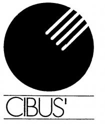 CIBUS