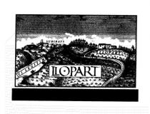 LLOPART SUBIRATS LLOPART VI LEGÍTIM