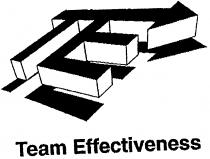 TE Team Effectiveness