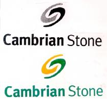 Cambrian Stone