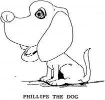 PHILLIPS THE DOG