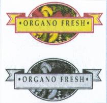 ·ORGANO FRESH·