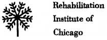 Rehabilitation Institute of Chicago