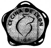 CECINA DE LEON I.G