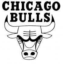 CHICAGO BULLS