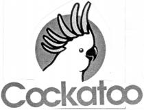 Cockatoo