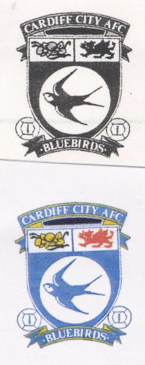 CARDIFF CITY AFC BLUEBIRDS