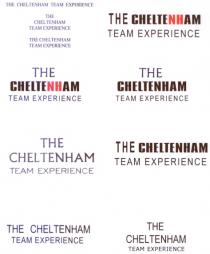 THE CHELTENHAM TEAM EXPERIENCE