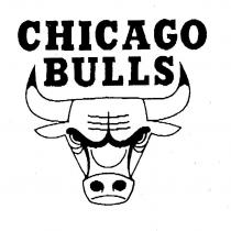 CHICAGO BULLS