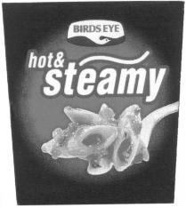 BIRDS EYE hot & steamy