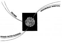 VACCINES ANGIOGENESIS INHIBITORS GROWTH FACTOR BLOCKERS