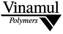 Vinamul Polymers