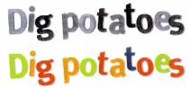 Dig potatoes