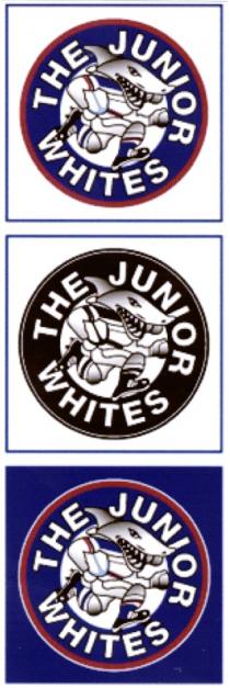 THE JUNIOR WHITES