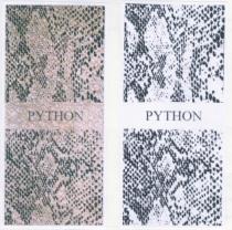 PYTHON