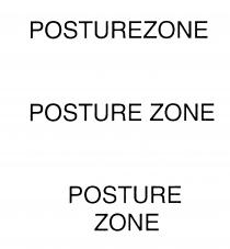 POSTURE ZONE