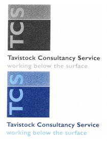 T C S Tavistock Consultancy Service working below the surface