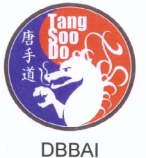 Tang Soo Do DBBAI